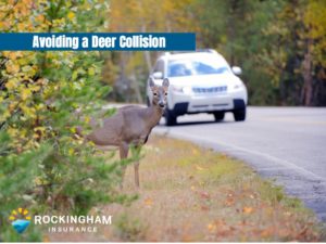 Deer crossing road with incoming car